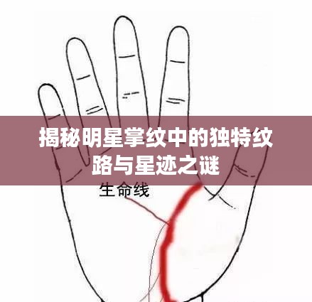 揭秘明星掌纹中的独特纹路与星迹之谜
