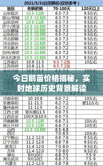 今日鹅苗价格揭秘,实时地球历史背景解读