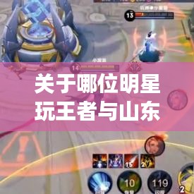 关于哪位明星玩王者与山东退伍安置最新消息的深度解析