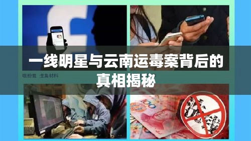 一线明星与云南运毒案背后的真相揭秘