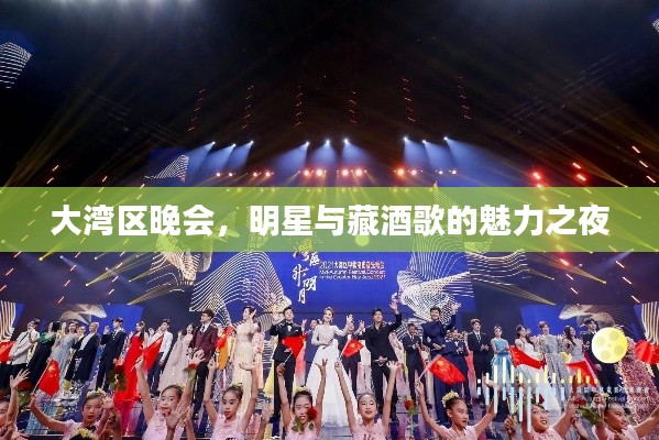 大湾区晚会,明星与藏酒歌的魅力之夜