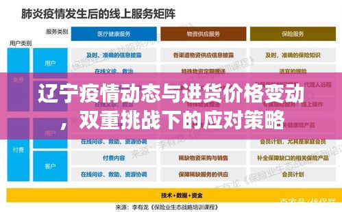 辽宁疫情动态与进货价格变动,双重挑战下的应对策略