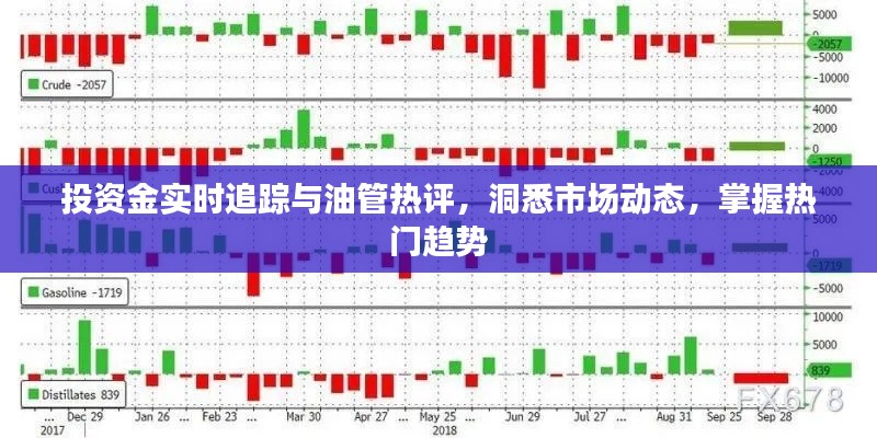 投资金实时追踪与油管热评，洞悉市场动态，掌握热门趋势