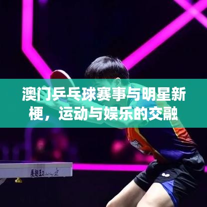 澳门乒乓球赛事与明星新梗,运动与娱乐的交融盛宴
