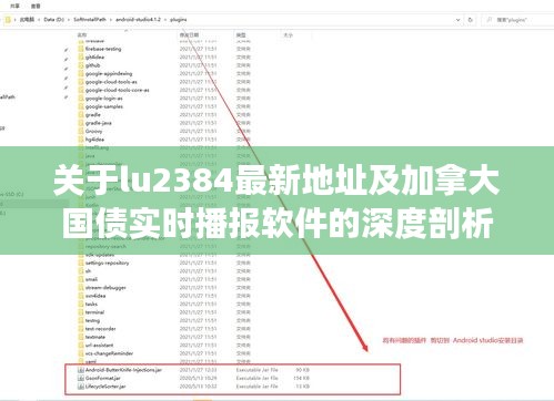 关于lu2384最新地址及加拿大国债实时播报软件的深度剖析
