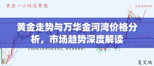 黄金走势与万华金河湾价格分析，市场趋势深度解读