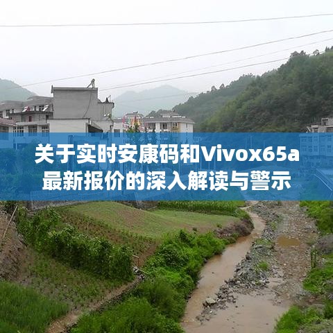 关于实时安康码和Vivox65a最新报价的深入解读与警示