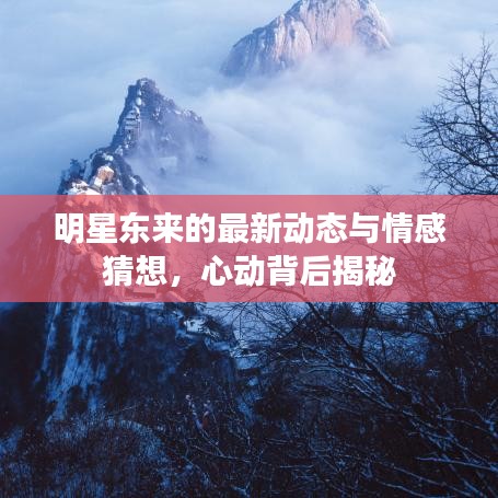 明星东来的最新动态与情感猜想,心动背后揭秘