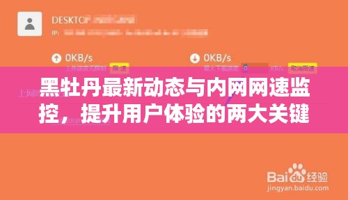 黑牡丹最新动态与内网网速监控，提升用户体验的两大关键要素