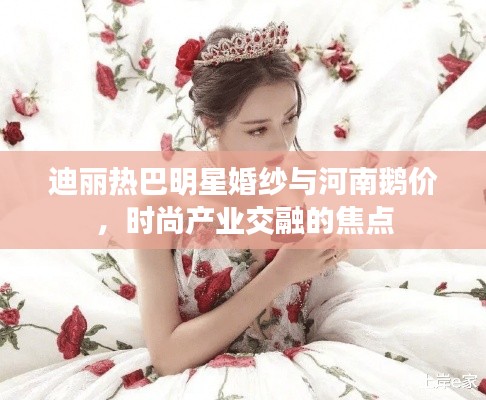 迪丽热巴明星婚纱与河南鹅价，时尚产业交融的焦点