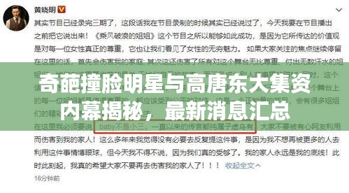 奇葩撞脸明星与高唐东大集资内幕揭秘，最新消息汇总