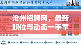 沧州招聘网，最新职位与动态一手掌握