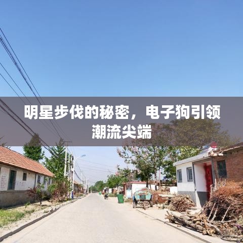 明星步伐的秘密，电子狗引领潮流尖端