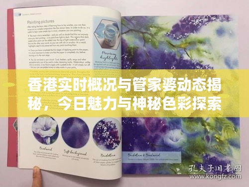 香港实时概况与管家婆动态揭秘，今日魅力与神秘色彩探索
