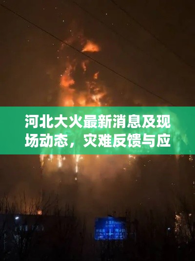 河北大火最新消息及现场动态，灾难反馈与应对举措实时更新