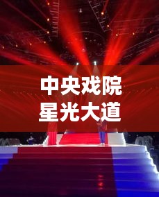 中央戏院星光大道与新机遇申港招聘风采