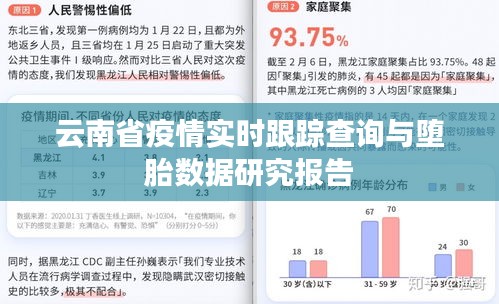 云南省疫情实时跟踪查询与堕胎数据研究报告