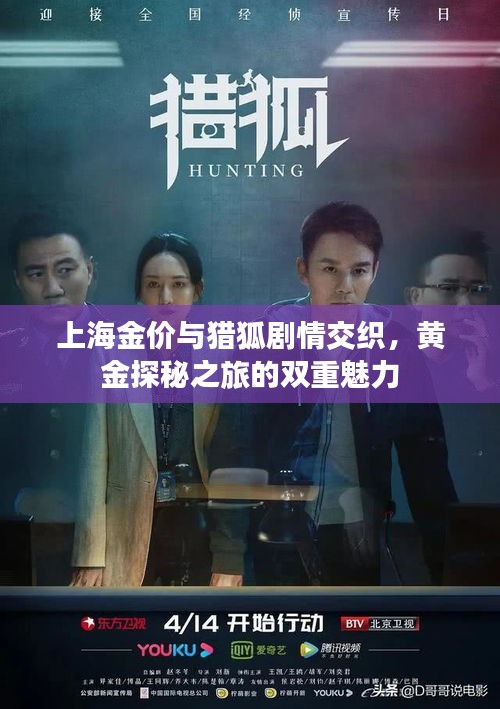 上海金价与猎狐剧情交织，黄金探秘之旅的双重魅力