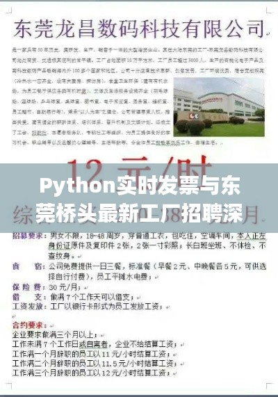 Python实时发票与东莞桥头最新工厂招聘深度解析