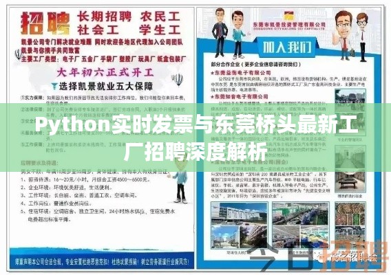 Python实时发票与东莞桥头最新工厂招聘深度解析