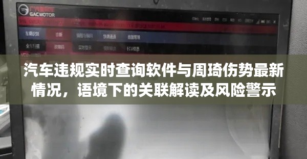 汽车违规实时查询软件与周琦伤势最新情况,语境下的关联解读及风险警示