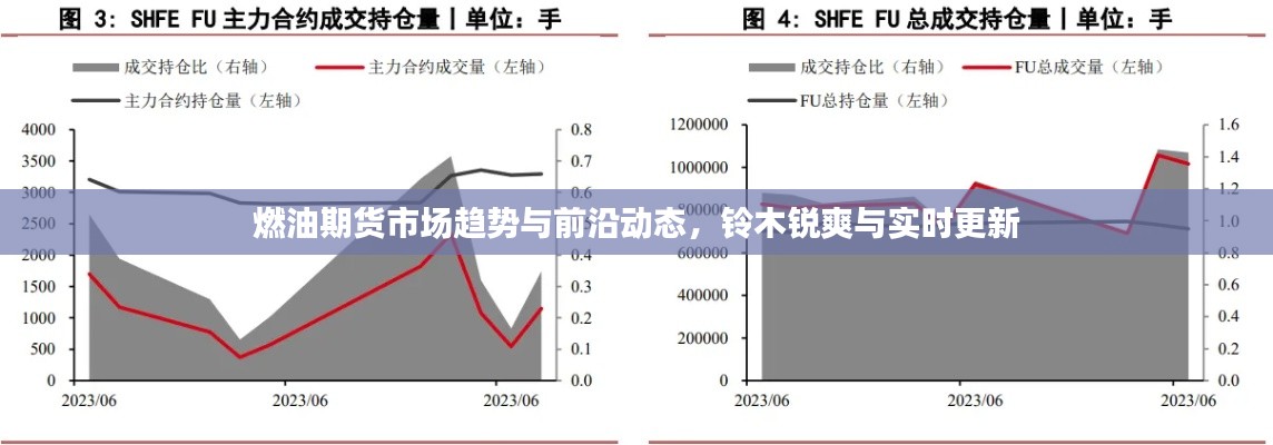 燃油期货市场趋势与前沿动态，铃木锐爽与实时更新