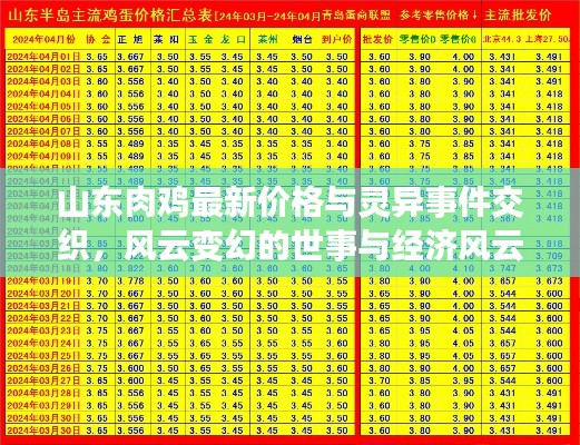 山东肉鸡最新价格与灵异事件交织,风云变幻的世事与经济风云解析