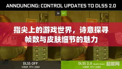 指尖上的游戏世界，诗意探寻帧数与皮肤细节的魅力