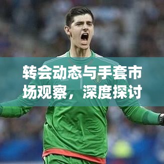 转会动态与手套市场观察，深度探讨与实时分析
