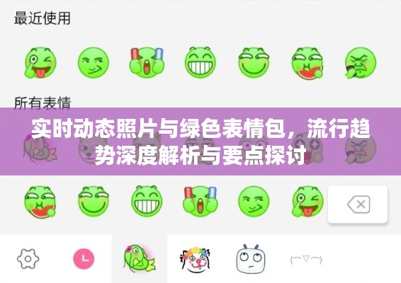 实时动态照片与绿色表情包,流行趋势深度解析与要点探讨