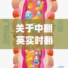 关于中翻英实时翻译——众大清肺仪价格的解读与警示