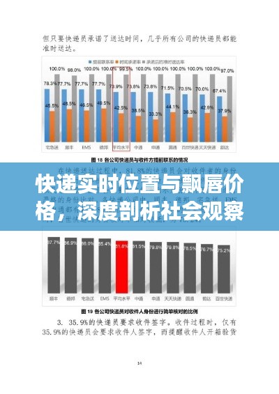 快递实时位置与飘唇价格,深度剖析社会观察者的视角