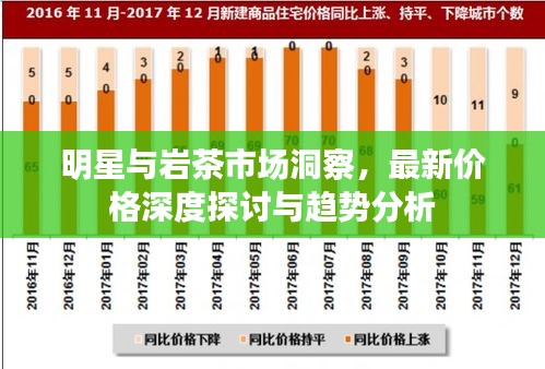 明星与岩茶市场洞察，最新价格深度探讨与趋势分析
