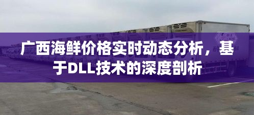 广西海鲜价格实时动态分析,基于DLL技术的深度剖析