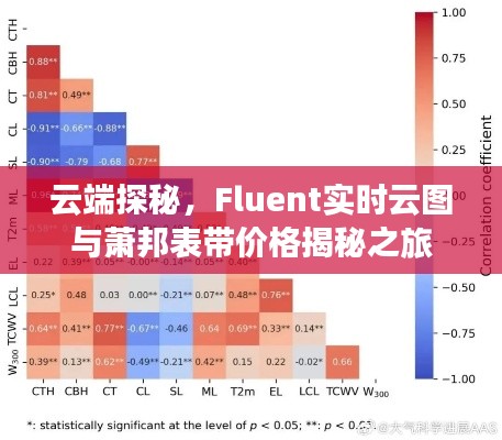 云端探秘,Fluent实时云图与萧邦表带价格揭秘之旅