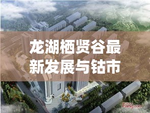 龙湖栖贤谷最新发展与钴市场实时价格动态解析