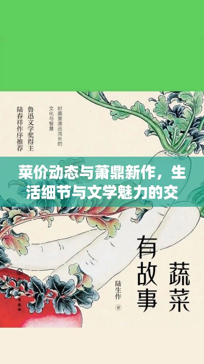 菜价动态与萧鼎新作,生活细节与文学魅力的交织观察