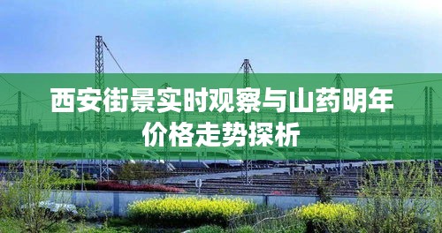 西安街景实时观察与山药明年价格走势探析