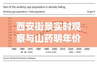 西安街景实时观察与山药明年价格走势探析