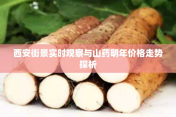西安街景实时观察与山药明年价格走势探析
