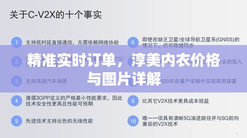 精准实时订单,淳美内衣价格与图片详解