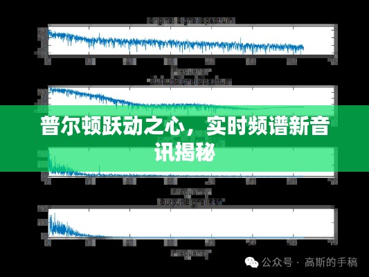 普尔顿跃动之心,实时频谱新音讯揭秘
