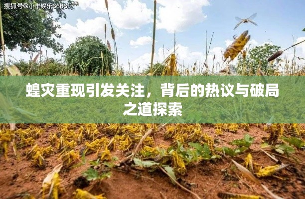 蝗灾重现引发关注,背后的热议与破局之道探索