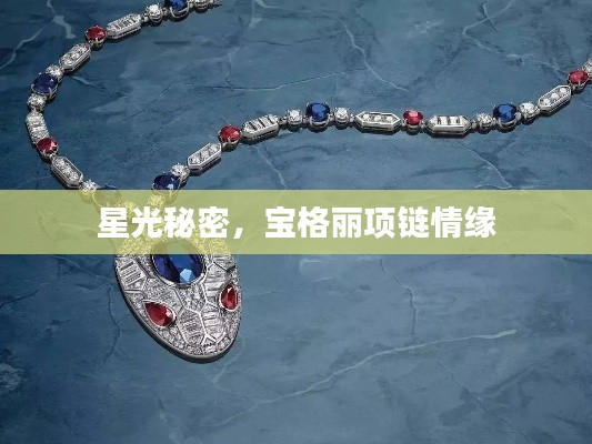 星光秘密,宝格丽项链情缘