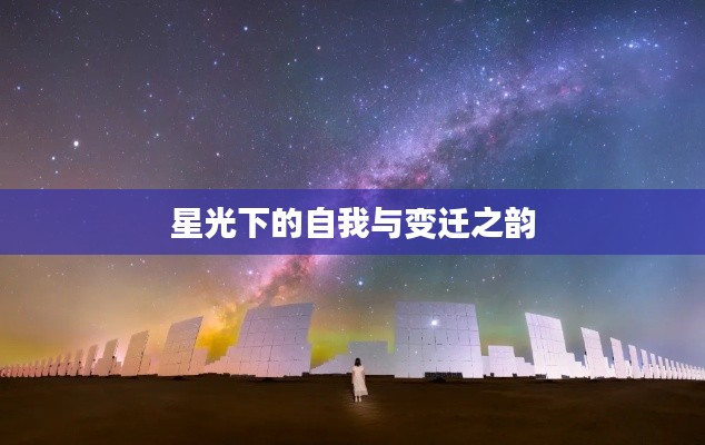 星光下的自我与变迁之韵