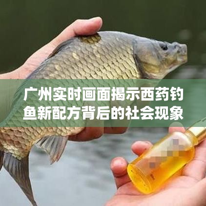 广州实时画面揭示西药钓鱼新配方背后的社会现象透视与反思