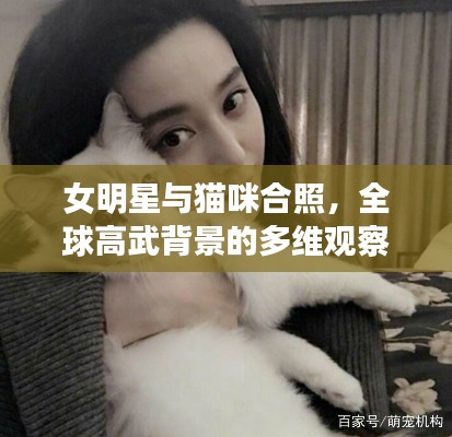 女明星与猫咪合照,全球高武背景的多维观察