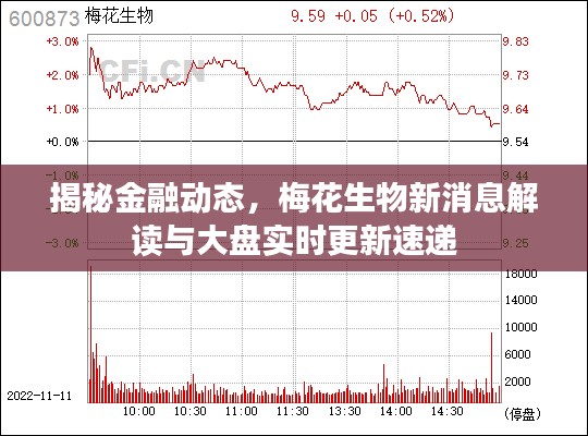 揭秘金融动态，梅花生物新消息解读与大盘实时更新速递