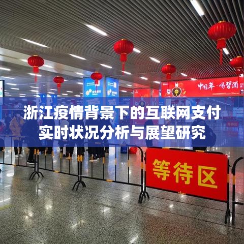浙江疫情背景下的互联网支付实时状况分析与展望研究