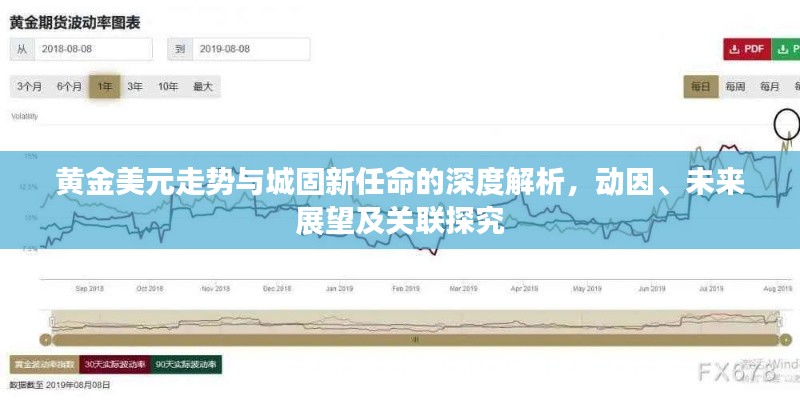 黄金美元走势与城固新任命的深度解析，动因、未来展望及关联探究